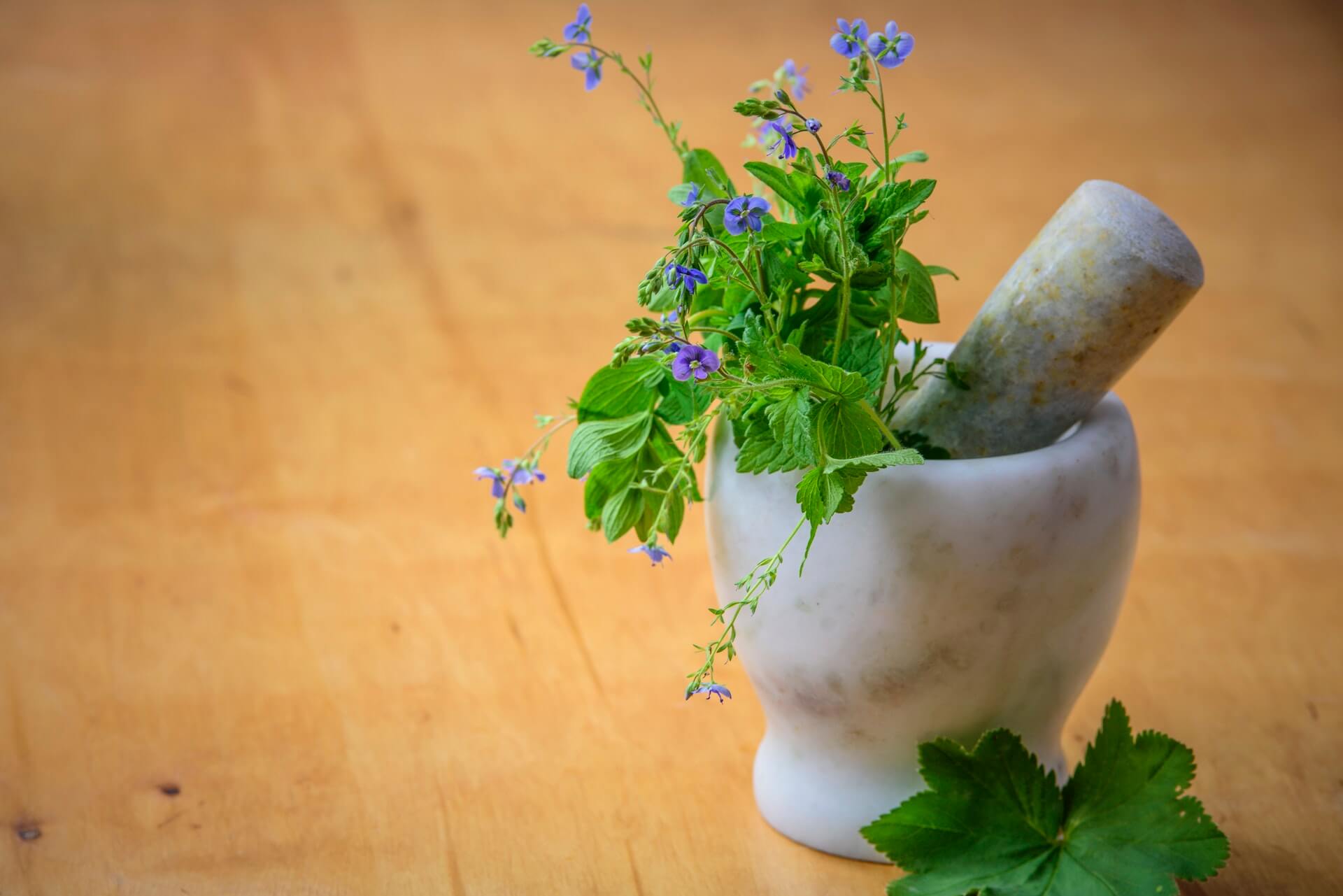 Traditional Chinese Medicine tips for Spring SHP Articles